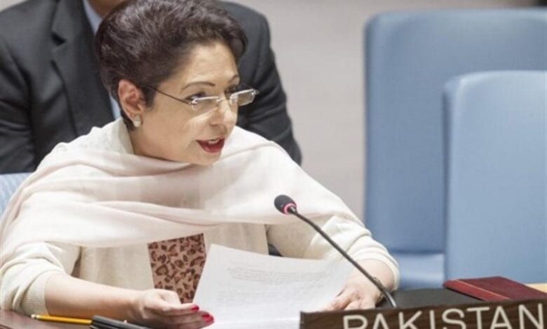 خود مختار افغانستان کے بعد امریکا کے پاکستان سے تعلقات دوراہے پر کھڑے ہیں: ملیحہ لودھی 1 139506311115553568711734