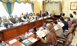 24 سرکاری اداروں کی نجکاری