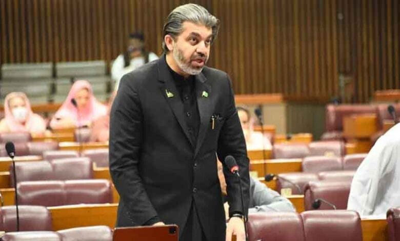 ڈی چوک کے خون کا انصاف چاہیے، علی محمد خان 1 21 9