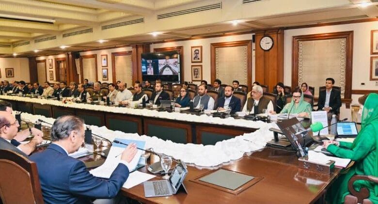 پنجاب کابینہ کی پارا چنار کیلئے ادویات و دیگر سامان بھیجنے کی منظوری 1 news 1729616770 7678