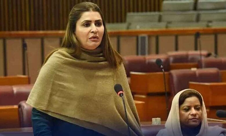 انٹرنیٹ اسپیڈ:اتحادی حکومت پر برس پڑے 1 shazia marri