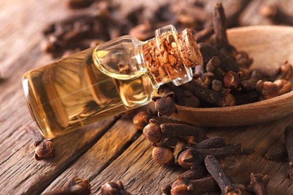 لونگ کا تیل۔۔۔۔۔۔۔تاریخی اہمیت کا حامل 1 clove oil