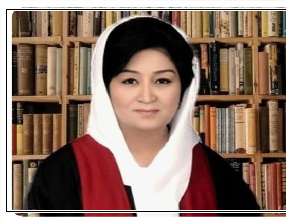 ملٹری کورٹ میں فیصلہ کون لکھتا ہے؟ جسٹس مسرت ہلالی 1 justice musarat hilali e1736506462858
