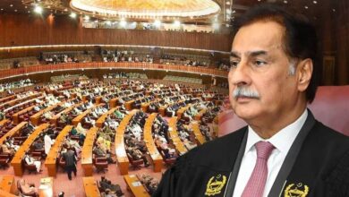 25-2024 وفاقی بجٹ