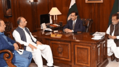 حکومتی نقطہ نظر