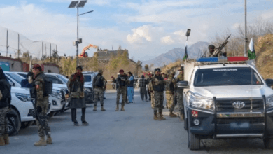 کے پی کے:فورسز کی کارروائیوں