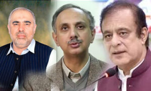 پی ٹی آئی اراکین بجٹ کو ووٹ نہیں دیں گے، علی ظفر 2 پی ٹی آئی اراکین