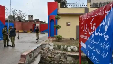 2015936 521280351