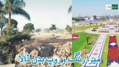 Manto Park 3