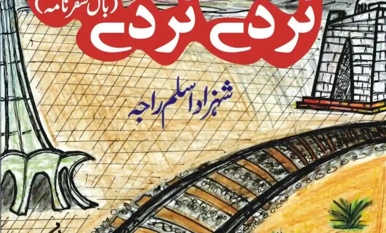 ٹردے ٹردے: روہڑی جنکشن (آخری قسط) 1 Turdy Turdy