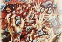 WhatsApp Image 2025 02 21 at 1.36.32 AM