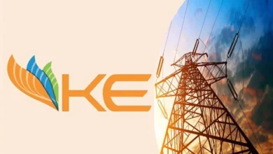 1364295 2053541 55 akhbar