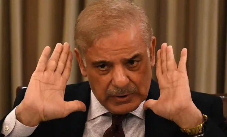 خواتین کے لیے قانون سازی کی، شہباز شریف 1 225356 2036213280