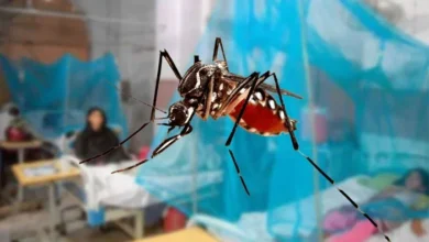ڈینگی کے 140 مریض