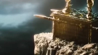 8196 785 5486 1152x480 1