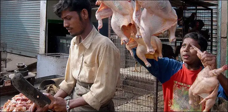 لاہور:رمضان میں چکن مہنگا، ہائی کورٹ کا نوٹس 1 Chicken 1