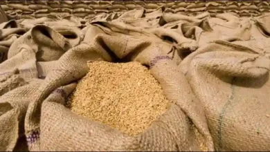 گندم خریداری کرپشن:محکمہ خوراک ریکارڈ سمیت طلب 4 Wheat