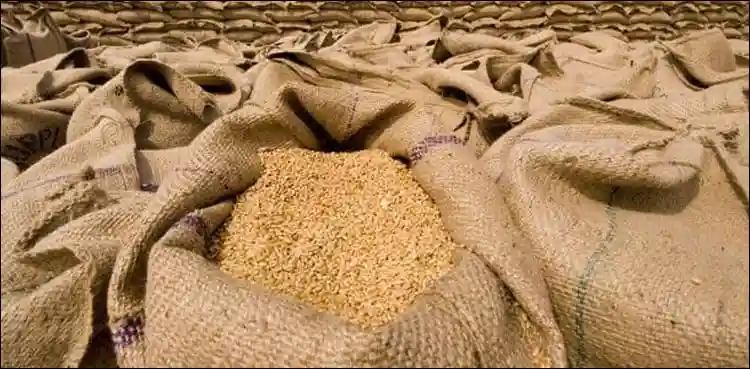 گندم خریداری کرپشن:محکمہ خوراک ریکارڈ سمیت طلب 1 Wheat