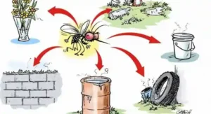 کراچی: ڈینگی کے 140 مریض رپورٹ aho 31