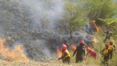 news 1717135040 7527