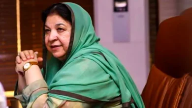 yasmeen rasheed 905x400 1