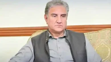 شاہ محمود