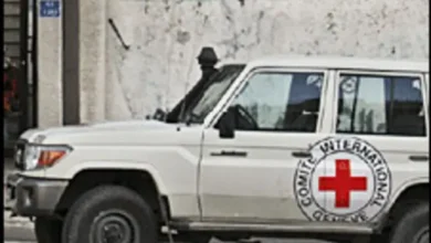 100205123026 vehicle.jpg