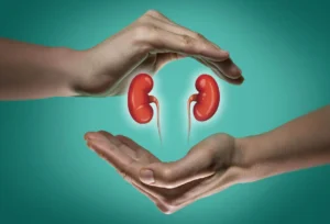 گردوں کی پیوندکاری