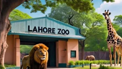 lahore zoo1735240527 0 600x450 1