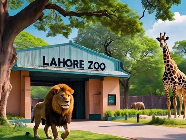 لاہور چڑیا گھر:ٹکٹ اب 80 نہیں 300 روپے 1 lahore zoo1735240527 0 600x450 1
