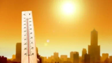 news 1651053808 4752