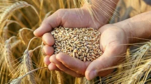 زراعت اور بزنس کمیونٹی