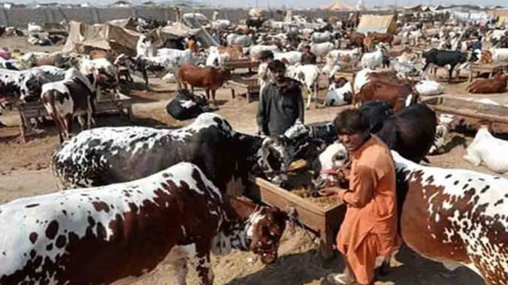 ملتان:مویشیوں کا تاجر لوٹ لیا گیا،1 کروڑ 90 لاکھ ڈاکو لے گئے