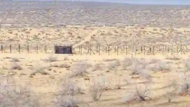 پاک بھارت سرحدوں پر غیر یقینی صورتحال برقرار ہے،امریکی میڈیا 7 1470486 2831157 Pak India Border updates