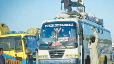 بس کھائی میں گرنے سے