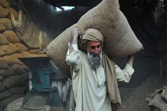 یوم مزدور: محنت کش مزدوری، صاحب چھٹی منائیں گے 1 808585 19745502