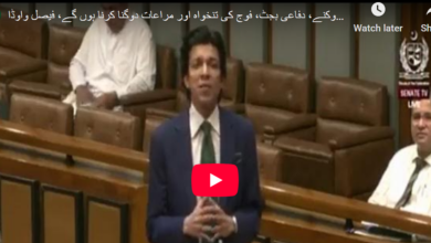 دفاعی بجٹ پر فیصل واوڈا کی سینٹ میں تقریر