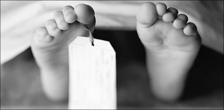 میہڑ:دادو کینال تیسرے نوجوان کی لاش 18 گھنٹے بعد مل گئی 1 کینال حادثہ