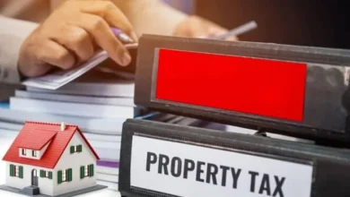  ٹیکس گوشوارے: