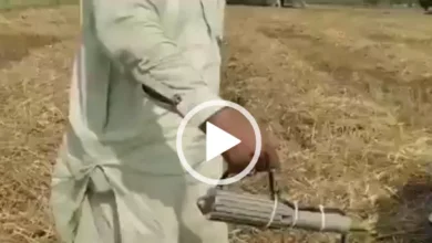 چنیوٹ