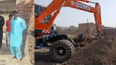 فیروز والا: الائشوں اور چربی