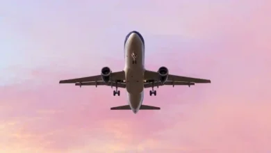 بھارتی مسافر طیارہ گر کرتباہ