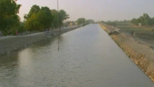 دادو کینال