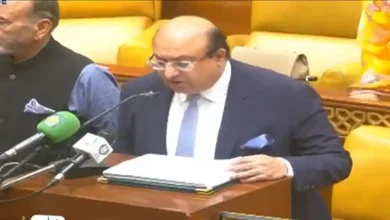 پنجاب کا بجٹ 2025