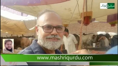لاہور: مویشی منڈیوں سہولیات غائب