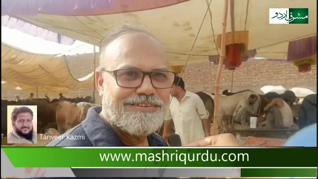 لاہور: مویشی منڈیوں میں سہولیات کا فقدان، 70 ہزار پانی کا 1 لاہور: مویشی منڈیوں سہولیات غائب