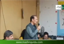 تصنیف