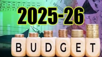 پنجاب کا بجٹ 2025