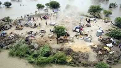 حالیہ بارش اور سیلاب کے باعث 13 افراد جاں بحق