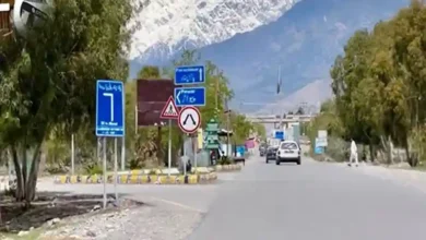 کرم میں گولا